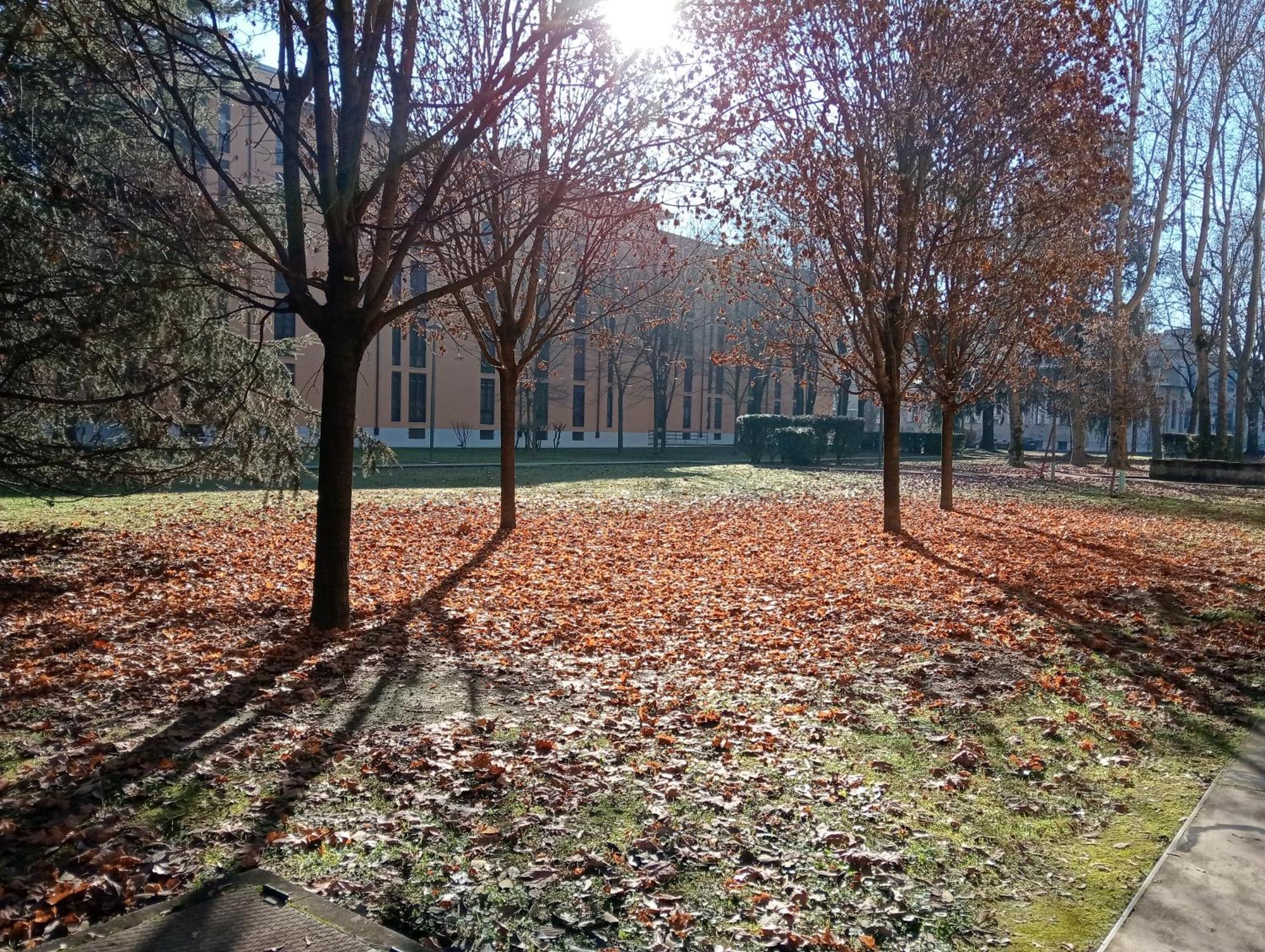 Sandonhouse Milano San Donato Milanese Eksteriør bilde